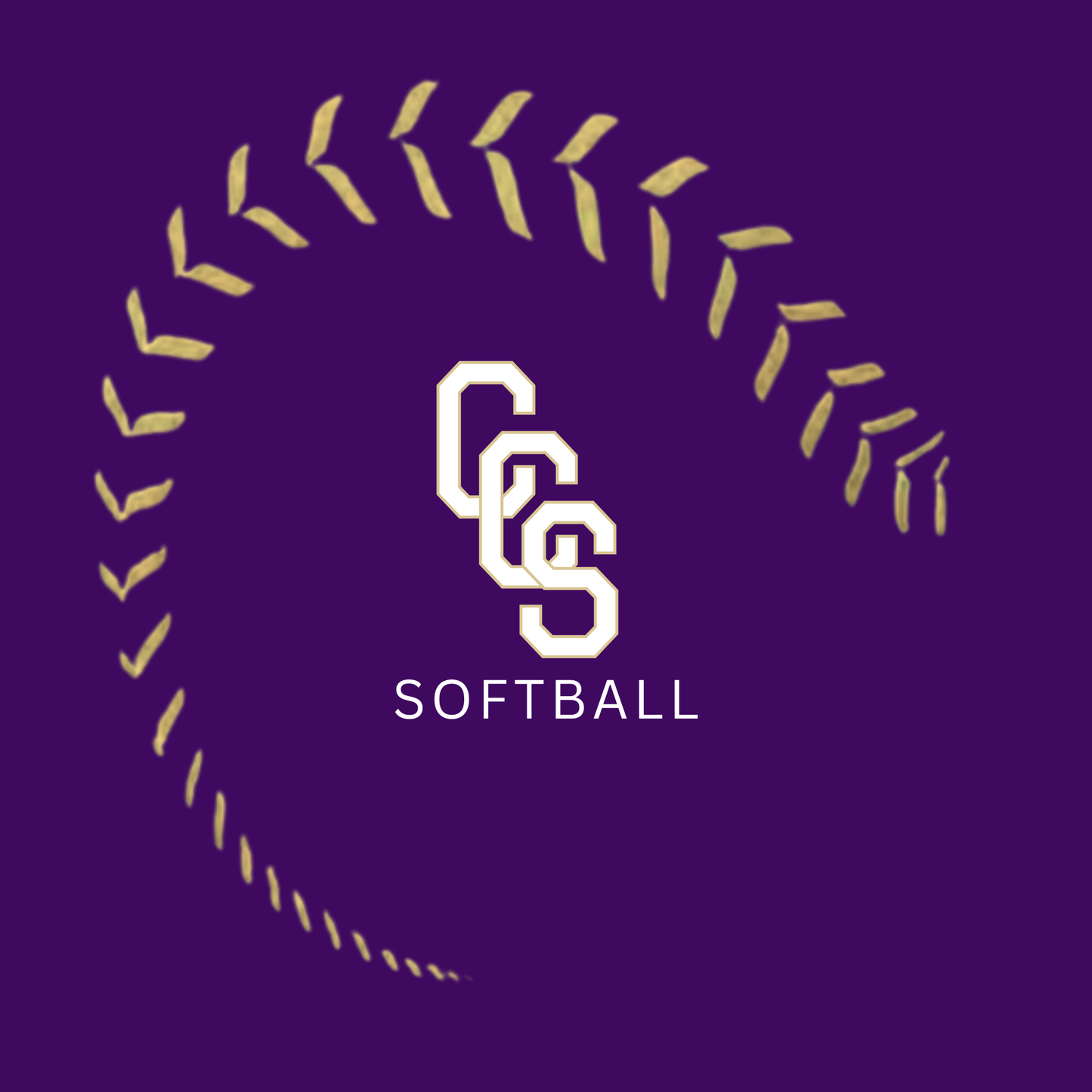 2025 Softball Spirit Pack *REQUIRED*