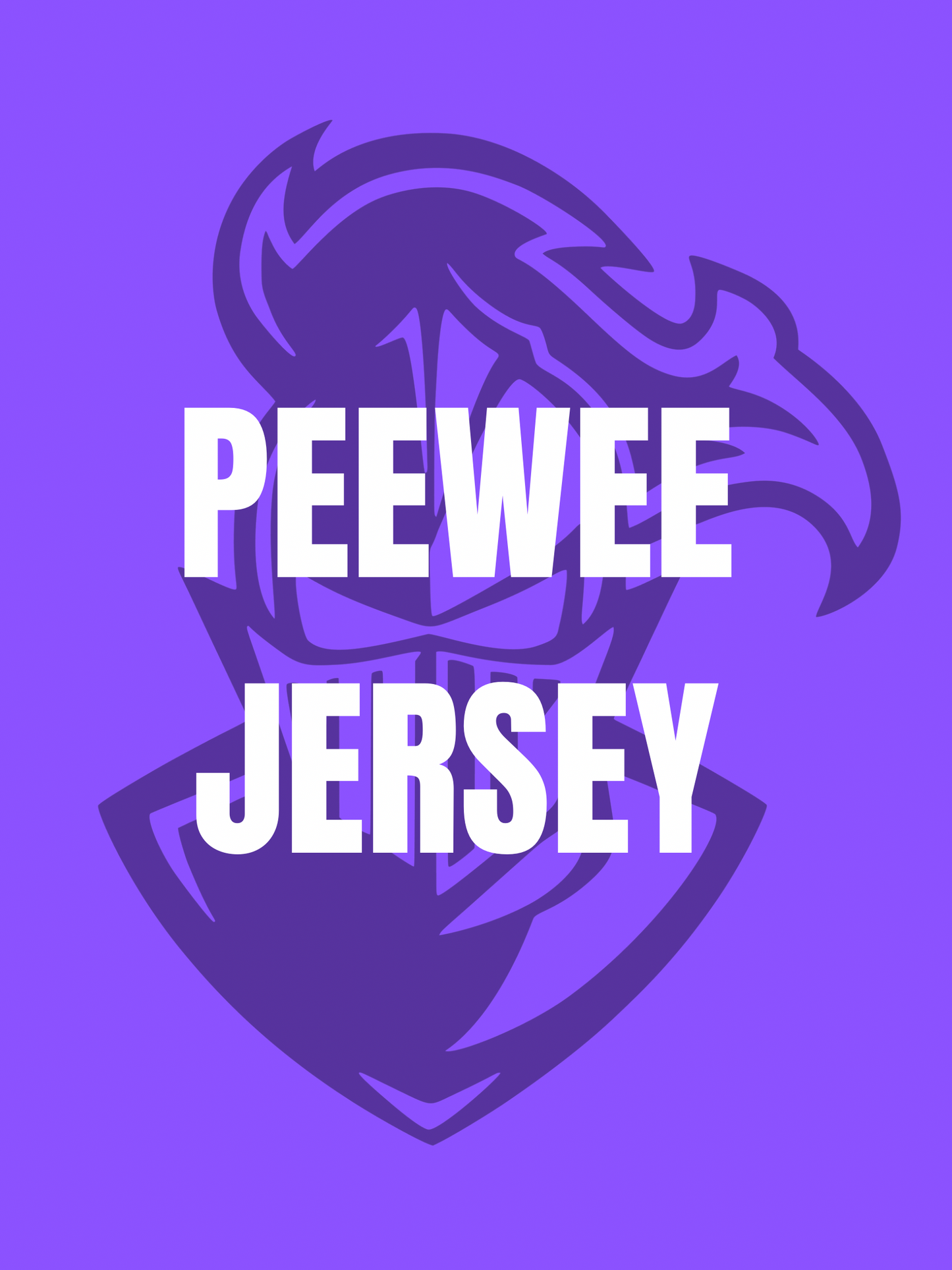 PEEWEE REVERSIBLE JERSEY